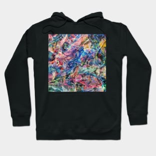 Multicolored Abstract Illustration Hoodie